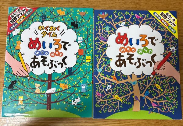 めいろでめちゃめちゃあそぶっく わくわくタイムめいろでめちゃめちゃあそぶっく