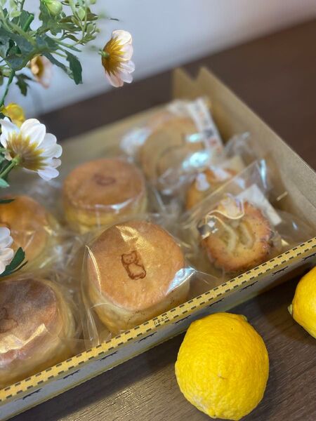 【即購入大歓迎】夏の予感だにゃ!レモンケーキだにゃーんセット