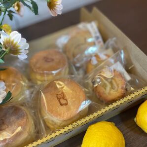 【即購入大歓迎】夏の予感だにゃ!レモンケーキだにゃーんセット