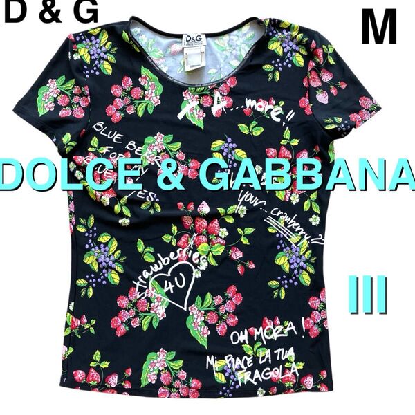 D&G ドルチェ&ガッバーナ トップス 半袖 Tシャツ アンダーウェア M 総柄 カットソー レディース 黒 ブラック フルーツ柄