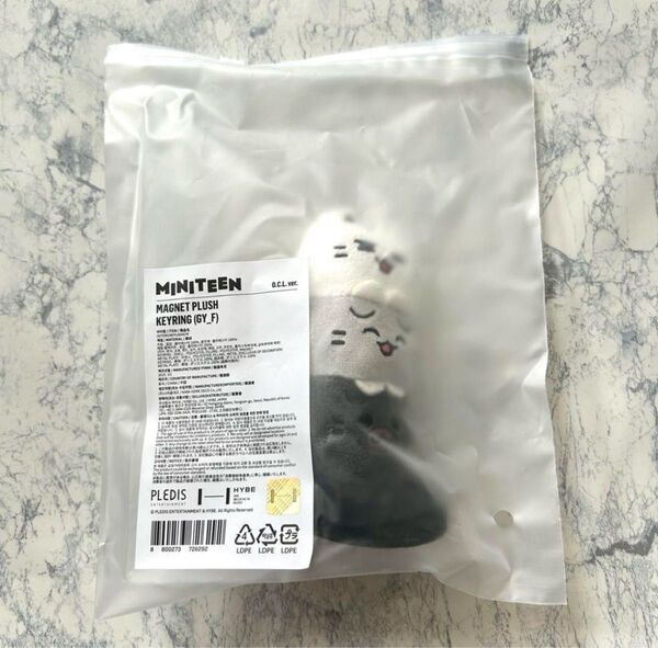 新品 公式 SEVENTEEN セブチ ミニティーン マグネットキーリング キーホルダー ぬいぐるみ JUN ジュン O.C.L