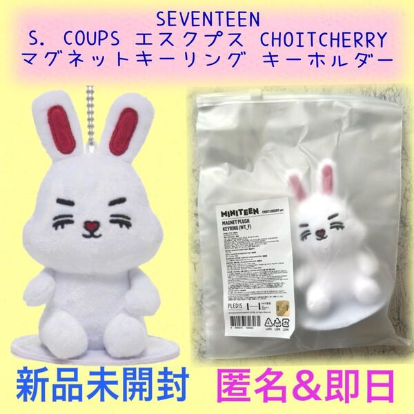 公式SEVENTEEN セブチ MINITEEN ミニティーンマグネット キーリング MAGNET PLUSH KEYRING