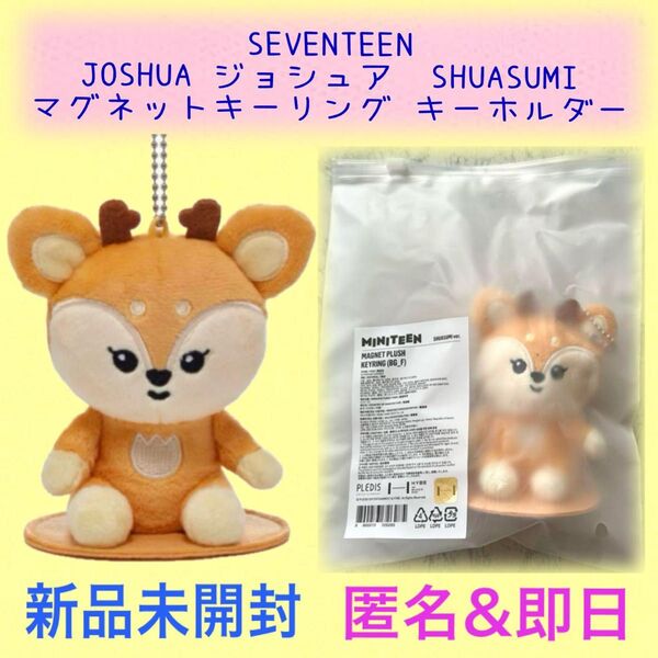 ラスト1点★公式 SEVENTEEN ミニティーン マグネットキーリング ぬいぐるみ JOSHUA ジョシュア SHUASUMI
