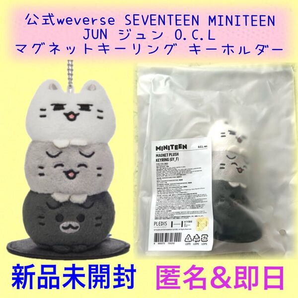 新品 公式 SEVENTEEN セブチ ミニティーン マグネットキーリング キーホルダー ぬいぐるみ JUN ジュン O.C.L