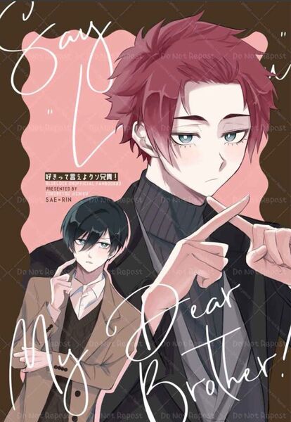ブルーロック 同人誌 好きって言えよクソ兄貴! 藤原 糸師冴 糸師凛 sern