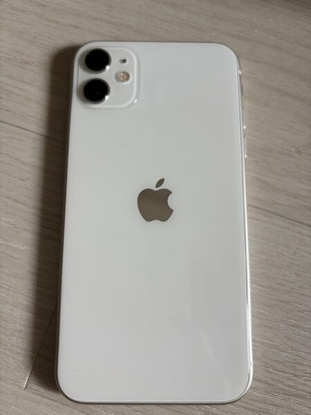 iPhone11 256GB Simフリー 画面左下割れあり 動作問題なし Apple