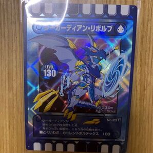 【新品未使用品】カード迷路ぐるり森カード☆シーガーディアンリボルブ☆レインボー