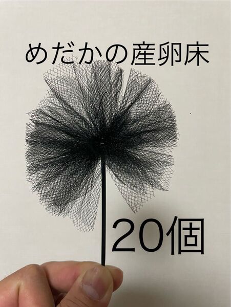 【めだか産卵床20個(チュール生地黒)の商品】