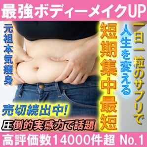 好実績14000超!短期集中サプリ タイムセール価格 早稲田総合研究所フォーシブル ダイエットサプリ ターミナリアファースト等にも