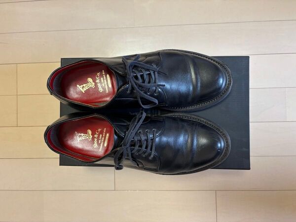 Shoe&Co. プレーントゥシューズ ブラック レザー ゴアテックス