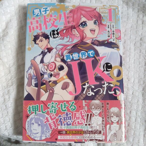 男子高校生は異世界でJKになった。 1 (ヤングジャンプコミックス) 寺屋キハチ/原作 兎川律/漫画
