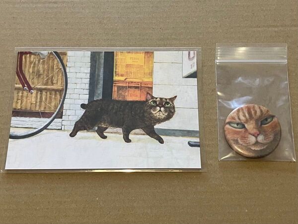 猫 ポストカード&缶バッジ 町田尚子 なまえのないねこ