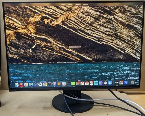 EIZO EV2485