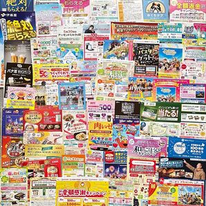 懸賞応募用紙約55種類 懸賞はがき ディズニー等
