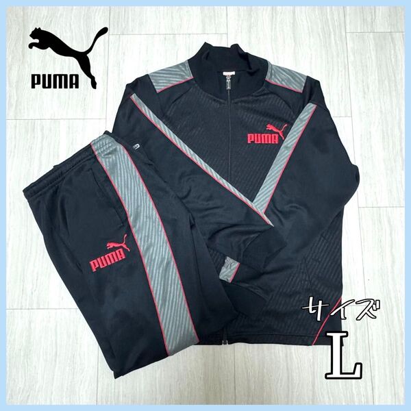 PUMA ジャージ セットアップ 上下 Lサイズ