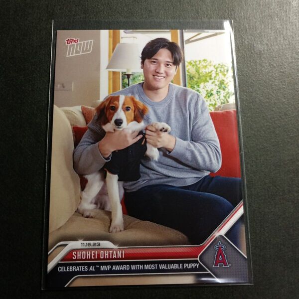 大谷翔平 2023 Topps Now ア・リーグMVP受賞 デコピン