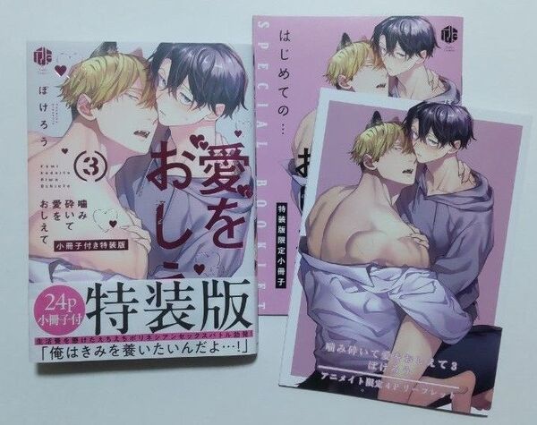 噛み砕いて愛をおしえて(3)特装版 アニメイト特典付き