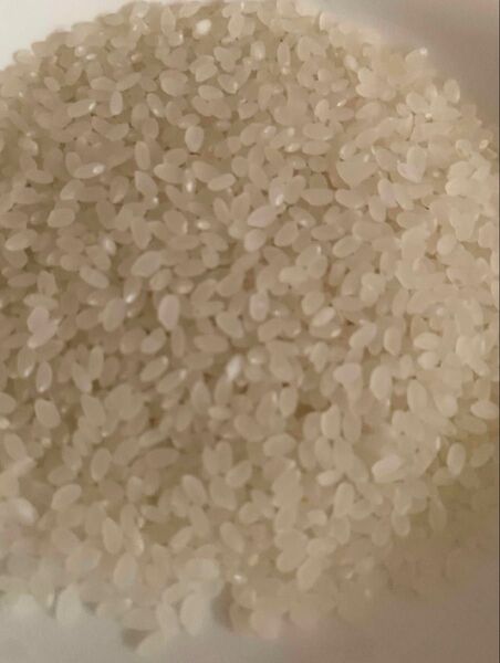 お米 令和6年度産 30キロ