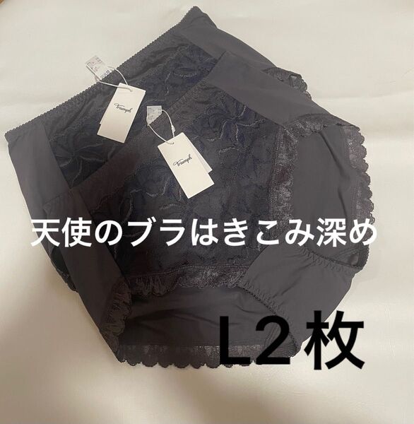 新品 L2枚 トリンプ Triumph 天使のブラ スリムライン582 はきこみ深めショーツ