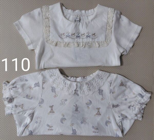 cottoli 襟付き半袖シャツ 2枚 110