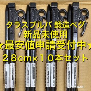 タラスブルバ TARAS BOULBA マイティパワーペグ 28 ブラック/28