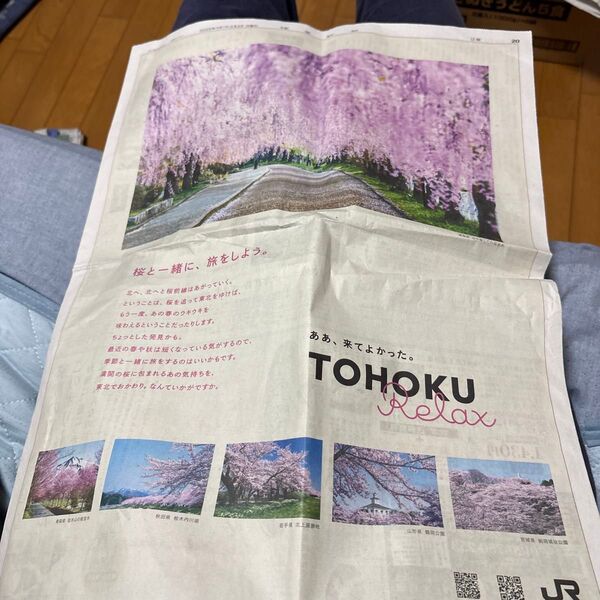 読売新聞 JR東日本 新聞広告 桜