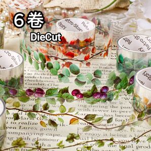 新!Q211 翠蔓 植物 藤 テープ ステッカー マスキングテープ