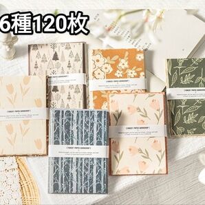 新! A36 森林紙坊 双紙質 ペーパー 紙モノ メモ 背景紙