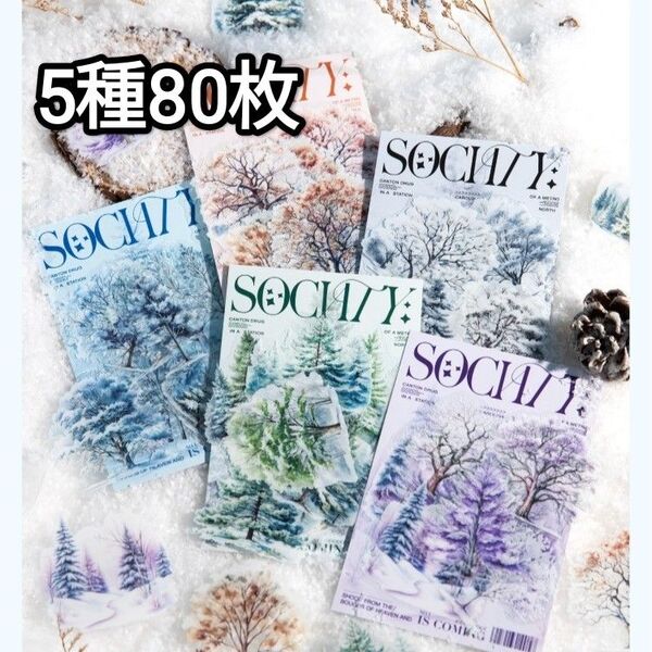 新! P67 冬の森 植物 ステッカー コラージュ素材 PET シール