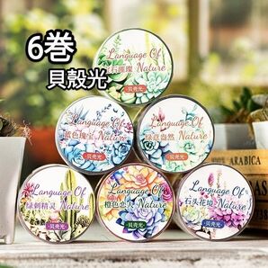 新!Q20 白然之語 貝殻光 多肉 植物 テープ コラージュ素材 ステッカー
