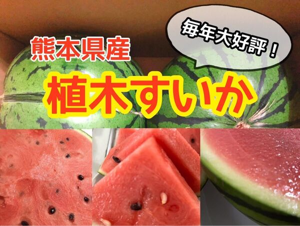 熊本県産!訳あり 植木 すいか すいかの里 Lサイズアップ(送料無料)