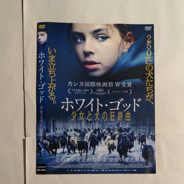 DVD ホワイトゴッド 少女と犬の狂詩曲