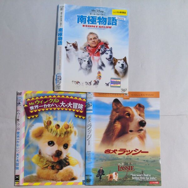 DVD 洋画 犬 3タイトル