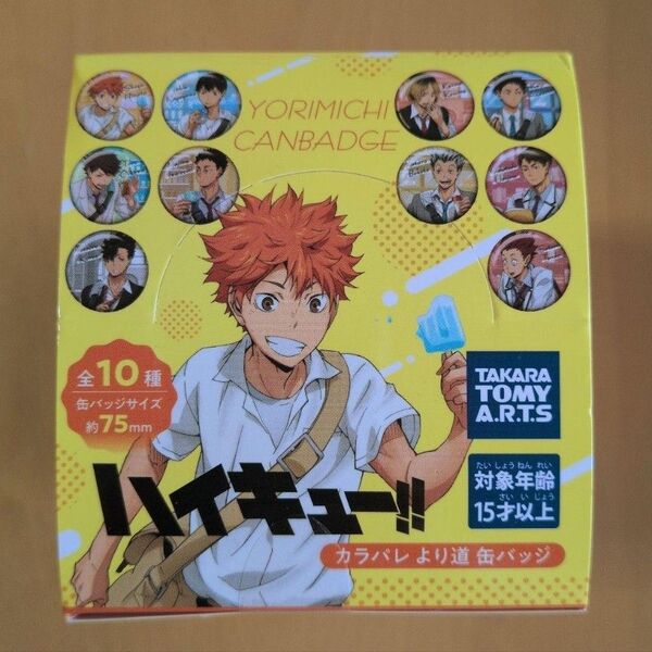 ハイキュー!! カラパレ より道缶バッジ 全10種 未開封