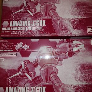 HG 1/144 アメイジングズゴック 2個セット