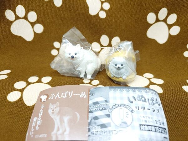 ふんばりーぬ いぬぱん リターンズ ポメラニアンガチャ