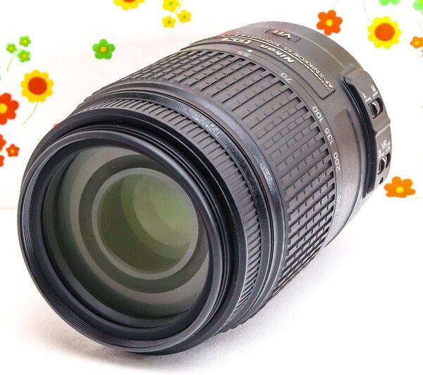 美品 超望遠レンズ!☆Nikon AF-S 55-300mm☆手振れ補正付き