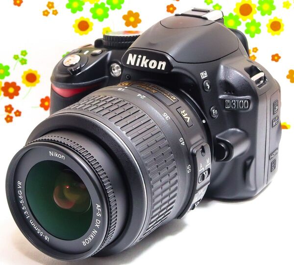 ニコン Nikon D3100☆スマホに転送♪☆手振れ補正付き☆初心者おススメ!
