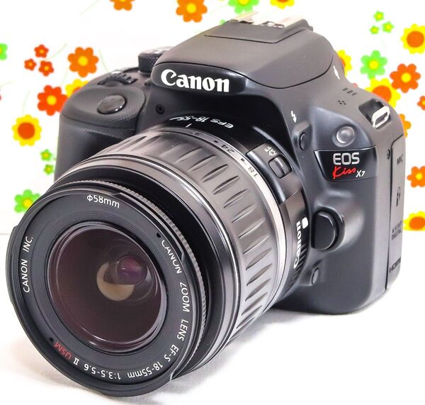 美品 Canon EOS Kiss X7☆スマホ転送☆超小型☆間違いない一眼レフ