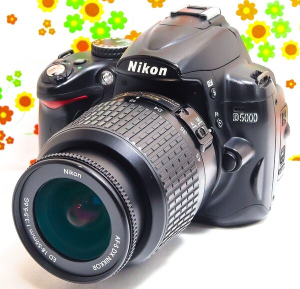 ニコン Nikon D5000☆動画撮影☆スマホに送れる!☆デジタル一眼レフ
