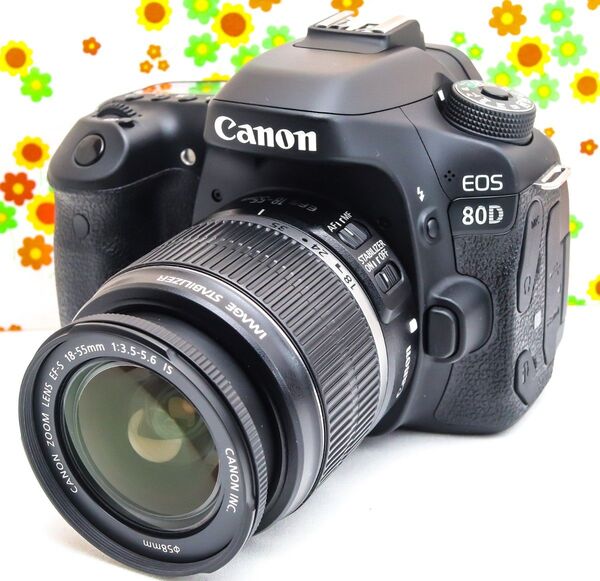 美品 Canon EOS 80D☆高速連写☆Wi-Fi搭載☆デジタル一眼レフ