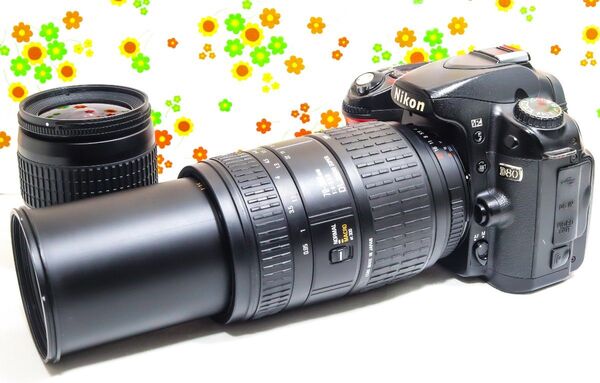 ニコン Nikon D80☆スマホに転送☆300㎜超望遠レンズ付☆初心者おすすめ