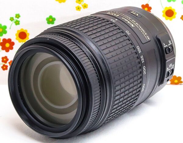 美品 超望遠レンズ☆ニコン Nikon AF-S 55-300mm☆手振れ補正付