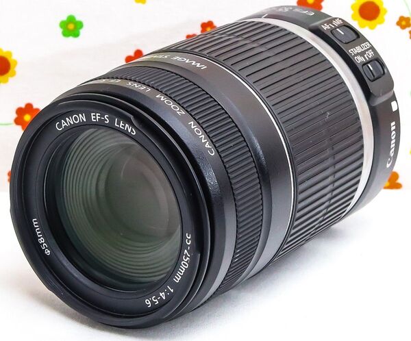キャノン Canon EF-S 55-250mm IS☆お手軽望遠レンズ♪