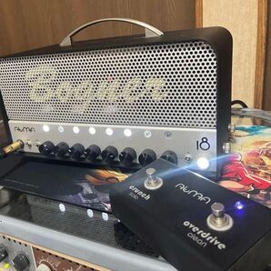 Bogner ATMA18