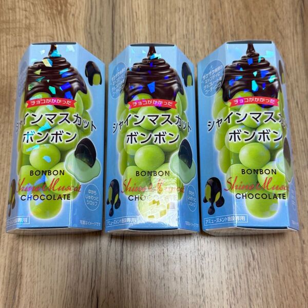 チョコがかかったシャインマスカットボンボン3個