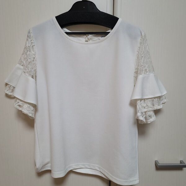 Tシャツ 半袖