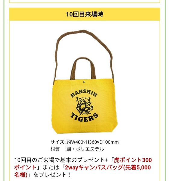阪神タイガース 2wayキャンバスバッグ