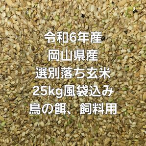 令和6年産岡山県産 選別落ち 玄米25kg風袋込み鳥の餌、飼料用