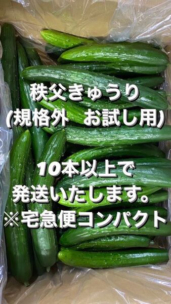 秩父きゅうり(規格外)10本以上※宅急便コンパクトで発送します。発送まで、お時間をいただいてしまう場合がございます。ご承知ください